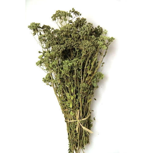 Greek Organic Oregano Stems 40g